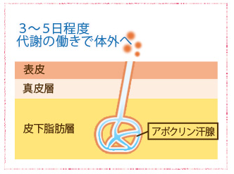 スクリーンショット 2017-05-21 19.42.27